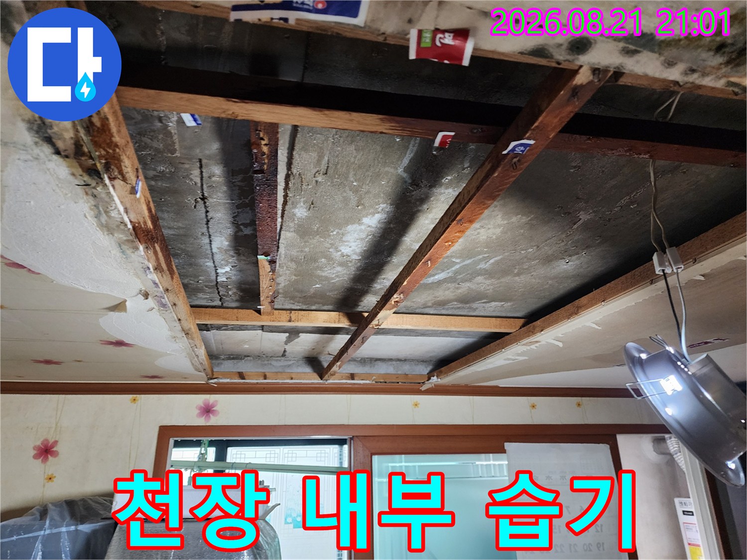 누수로 인해 습기가 가득한 천장 콘크리트 슬래브와 목재 구조물