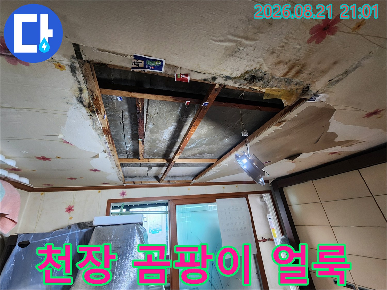 천장 벽지가 물에 젖어 변색되고 곰팡이가 생긴 모습