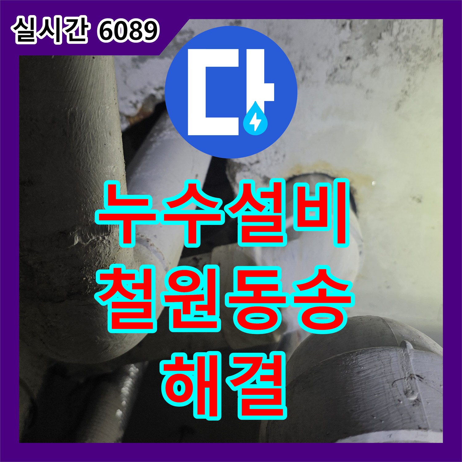 누수설비 하수관 연결부 결함으로 인한 지하 시설 천장 누수를 정밀 진단하고 해결한 강원도 철원군 동송읍 현장