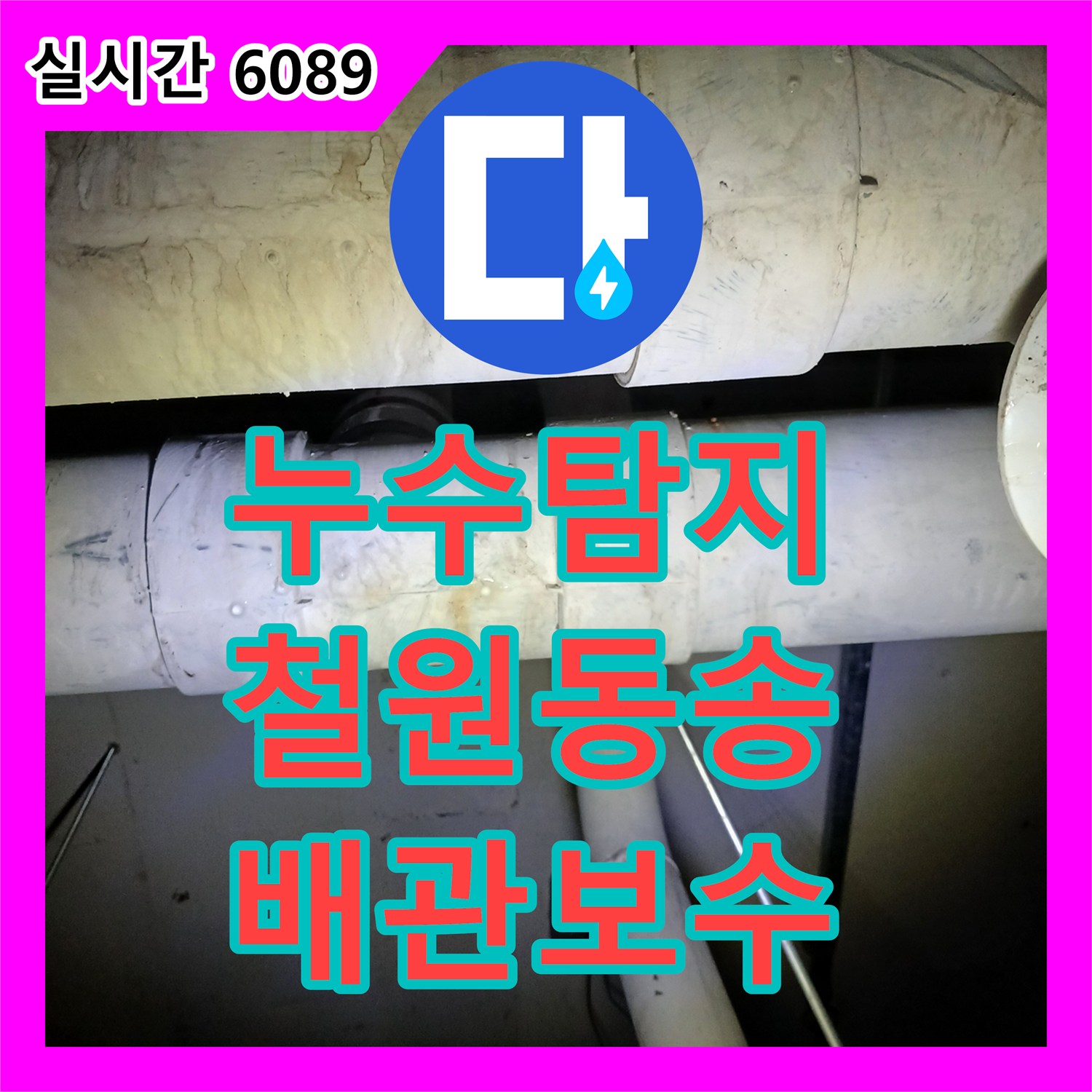 누수탐지 공용 하수관의 결함으로 인해 지하 수영장 천장에서 발생한 누수를 정밀하게 진단하고 보수한 사례 강원특별자치도 철원군 동송읍