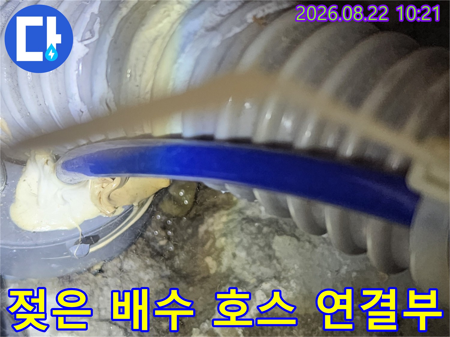 싱크대 하단 배관-연결 부위의 습기와 물 고임을 관찰하는 장면입니다.