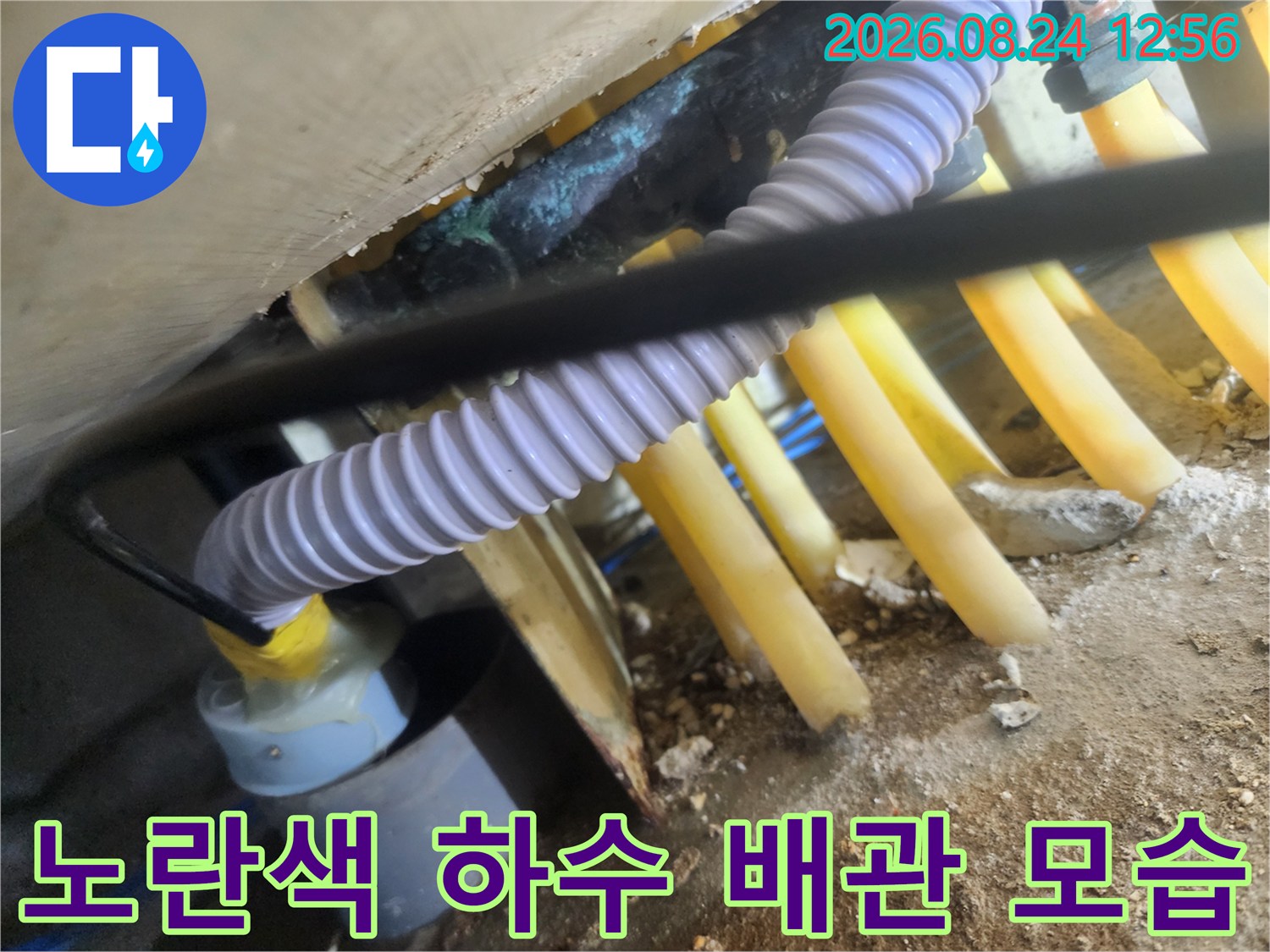싱크대 아래쪽 노란색 배관과 흰색 주름 호스의 연결 부위 상세 촬영