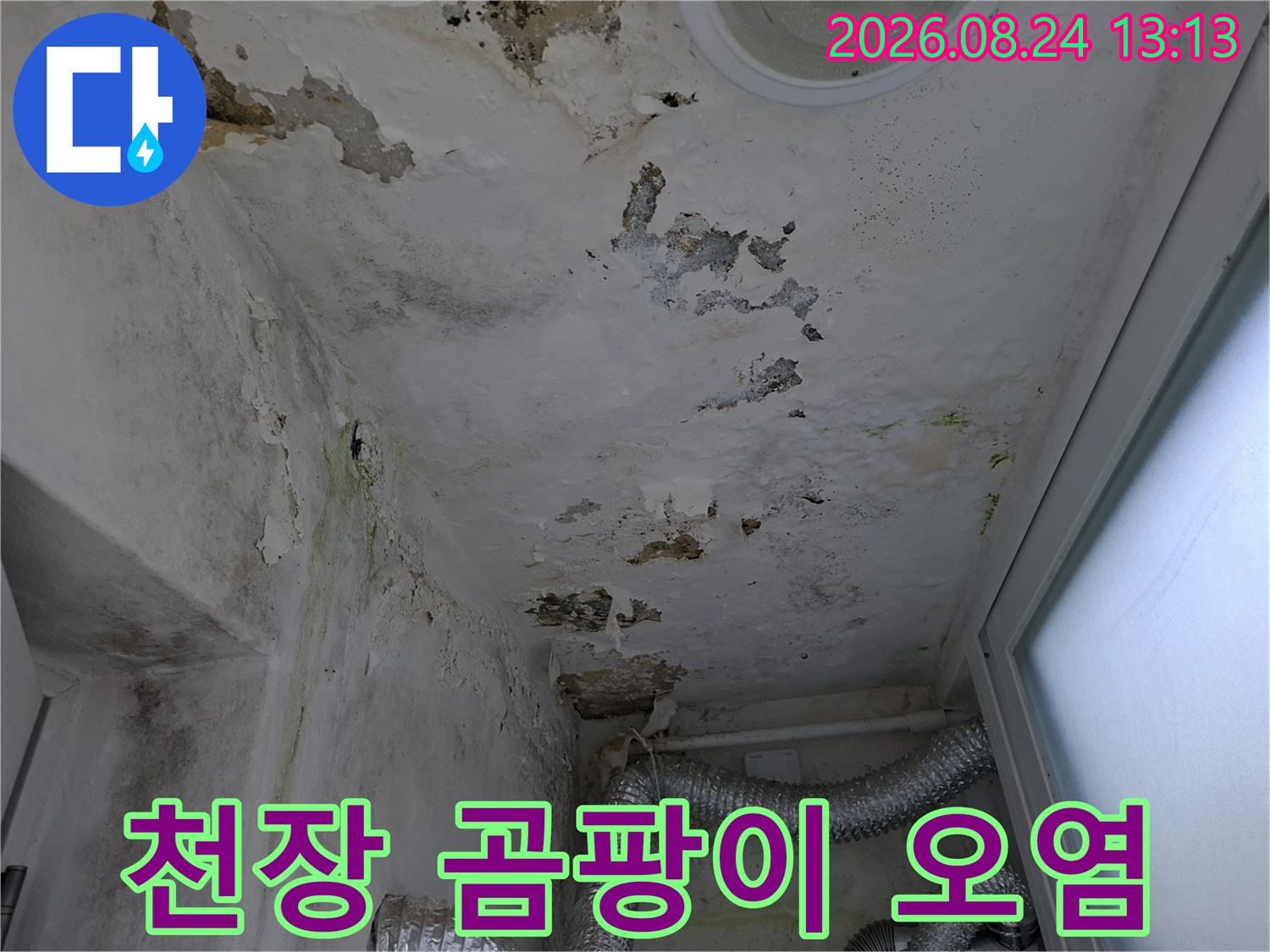 천장 마감재 표면에 발생한 검은 곰팡이와 습기 흔적