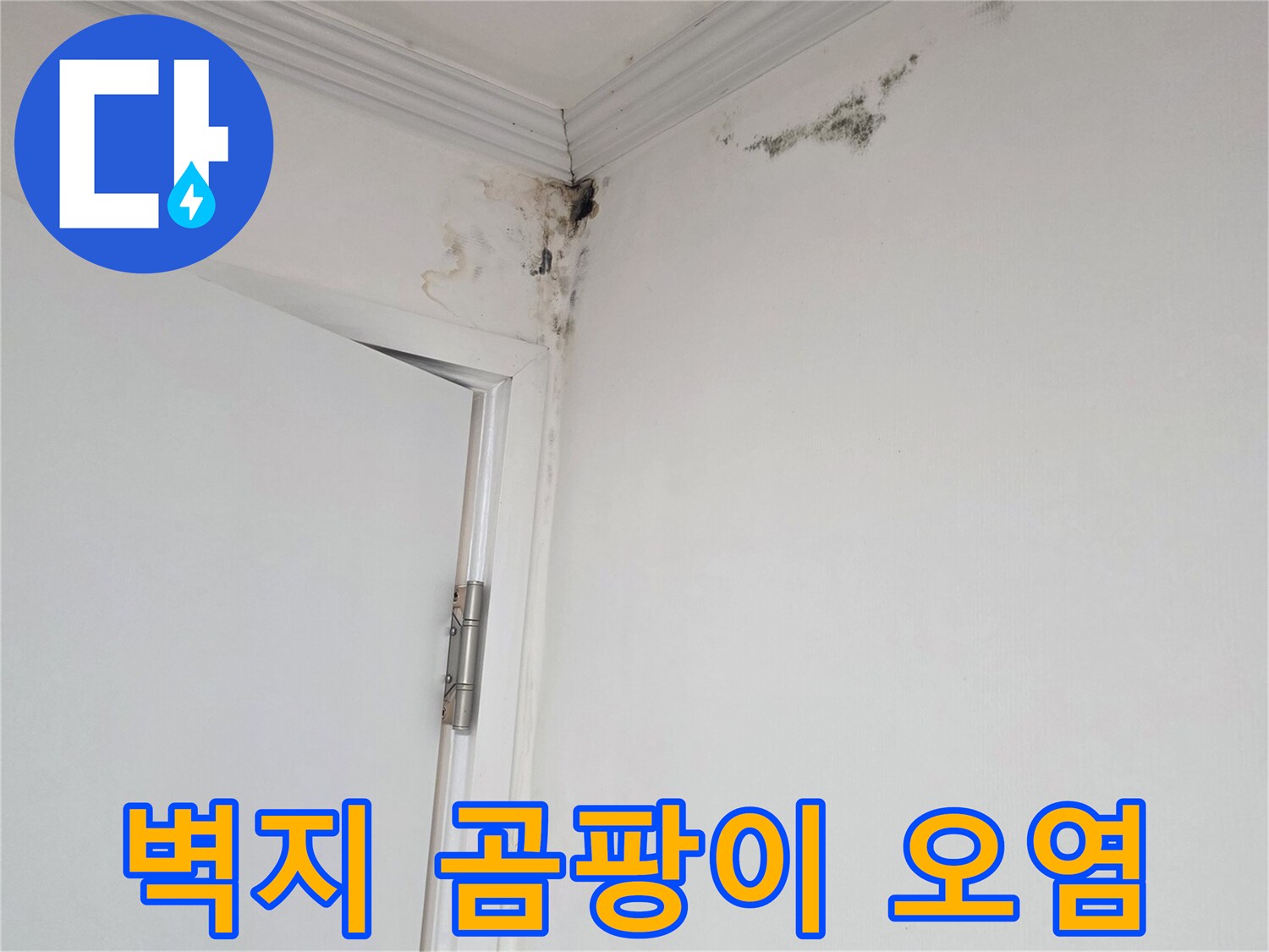 아파트 천장 몰딩 부근의 곰팡이와 습기 흔적