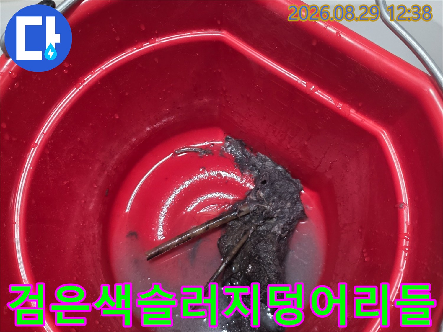 양동이에 모여 있는 검은색의 배수관 내부 슬러지 덩어리