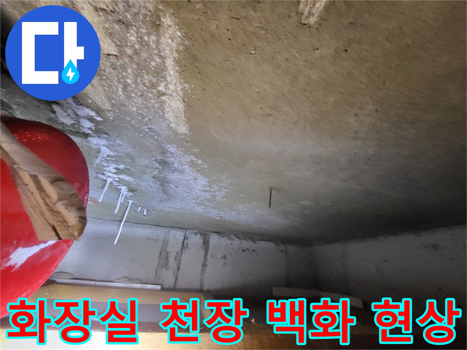일산동구 중산동-화장실 콘크리트 슬래브의 백화 현상 상태