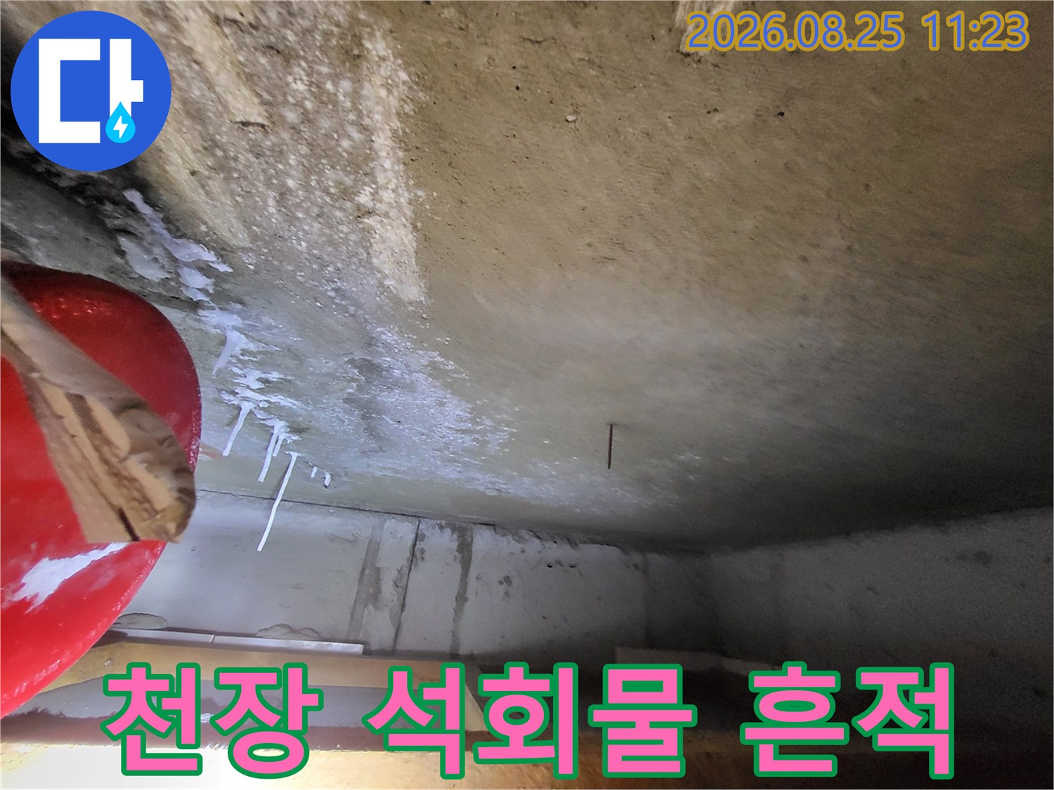하얀 백화 현상이 나타난 화장실 천장 콘크리트 바닥