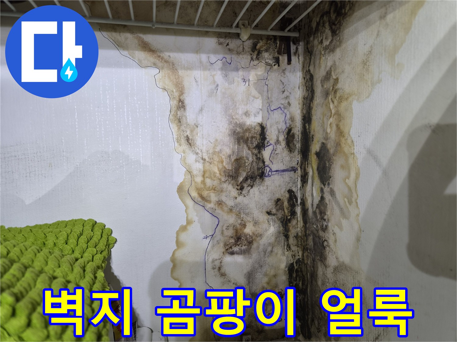 구로구 오류동 현장의-벽지 곰팡이와 습기 흔적