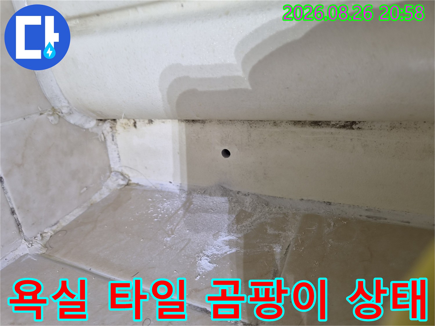 욕실 타일 줄눈 부위의 검은 곰팡이와 습기 침투 흔적