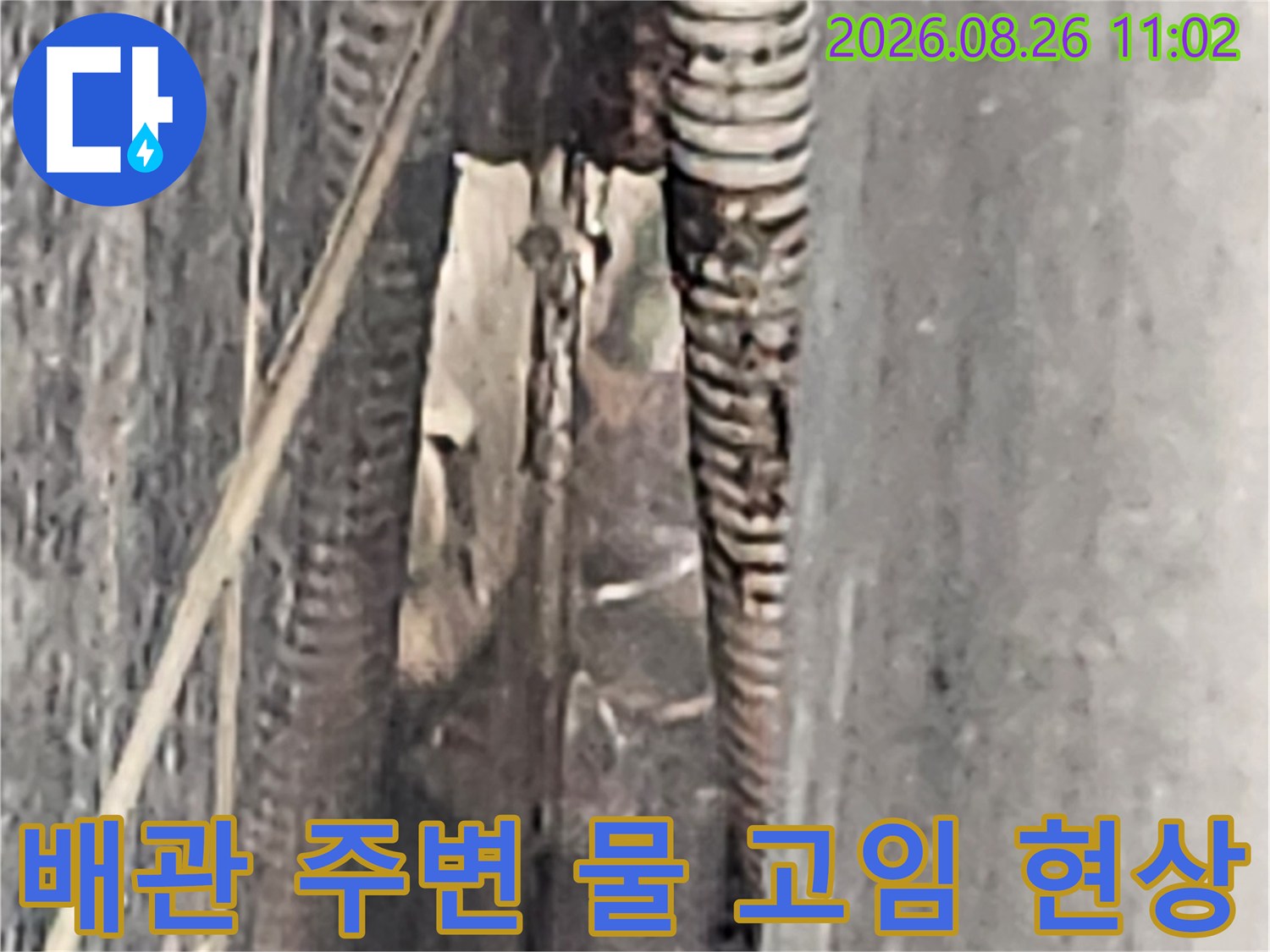 드레인 배관 하단부-아스팔트 틈새로 인한 누수 지점