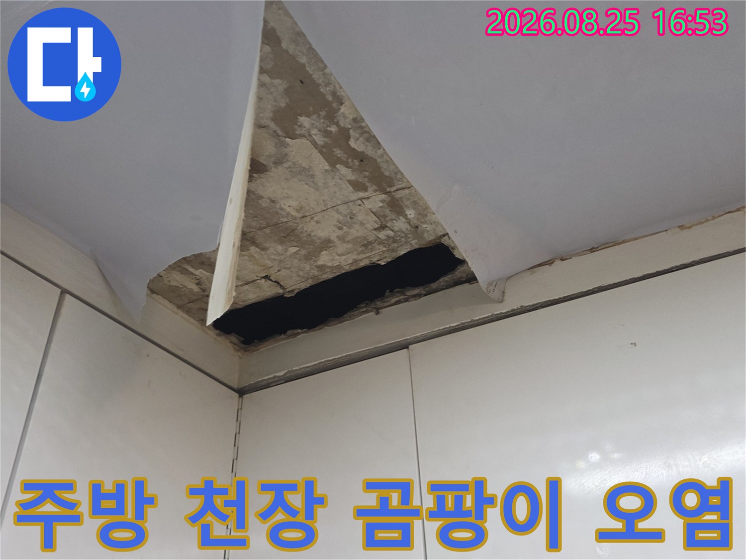 상부장 아래쪽 천장 부근의 심한 곰팡이와 물자국 현상