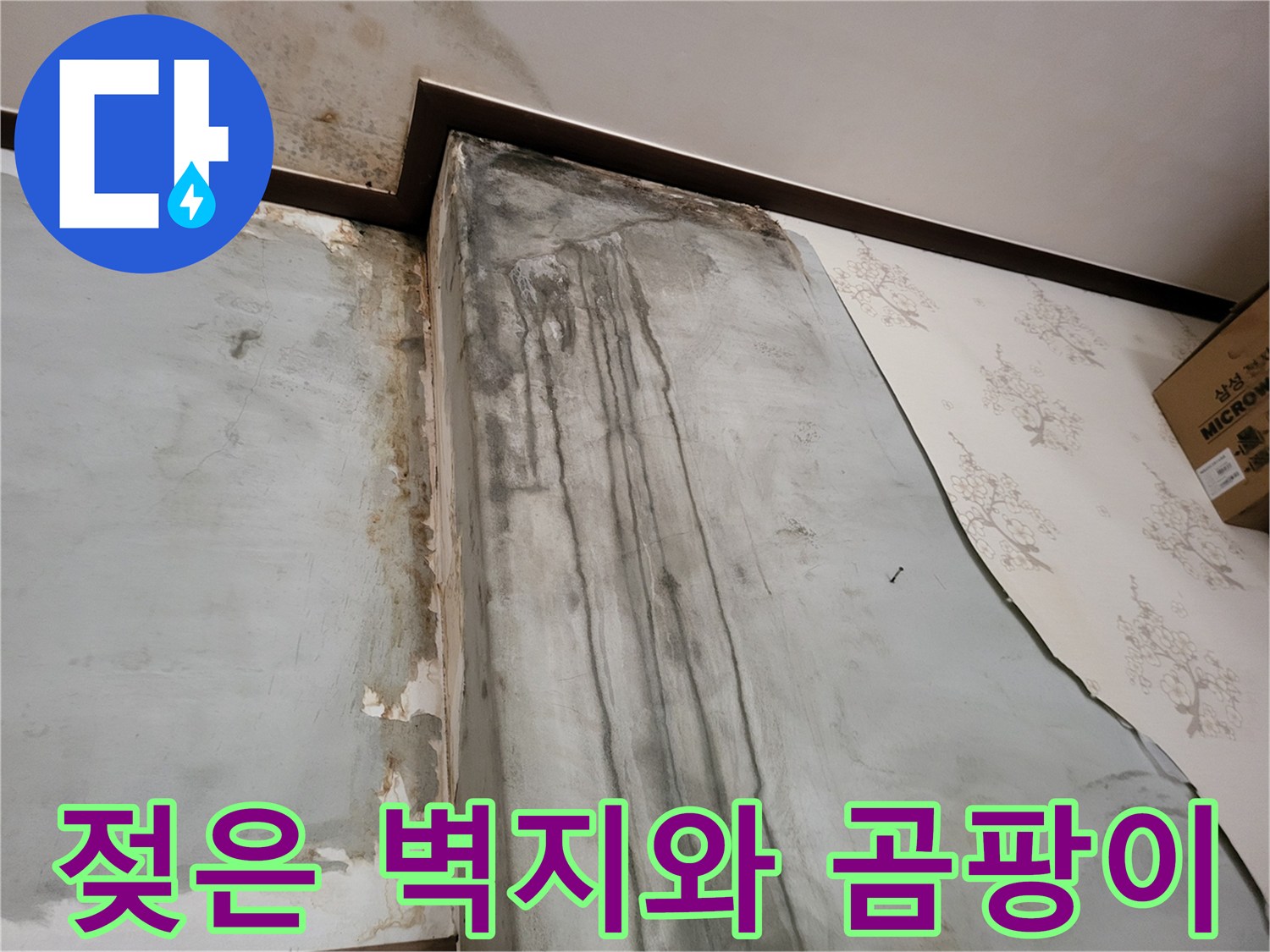 심하게 젖어 있는-벽면의 곰팡이 발생 부위