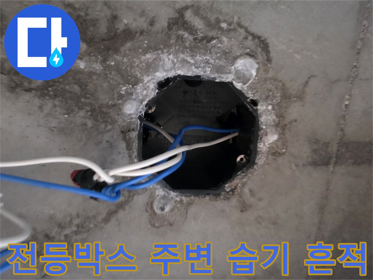 의정부 호원동 현장-전등 배선 박스 주변의 물샘 흔적과 오염 상태