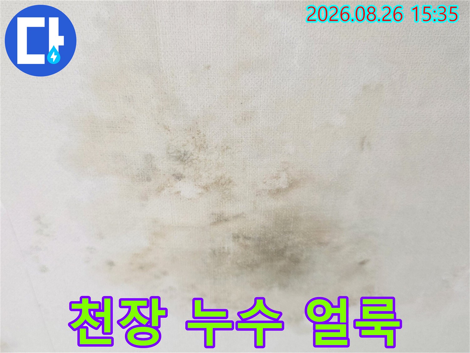 경기 광주시 송정동 빌라 천장에 발생한 넓은 범위의 누수 얼룩과 곰양 현상