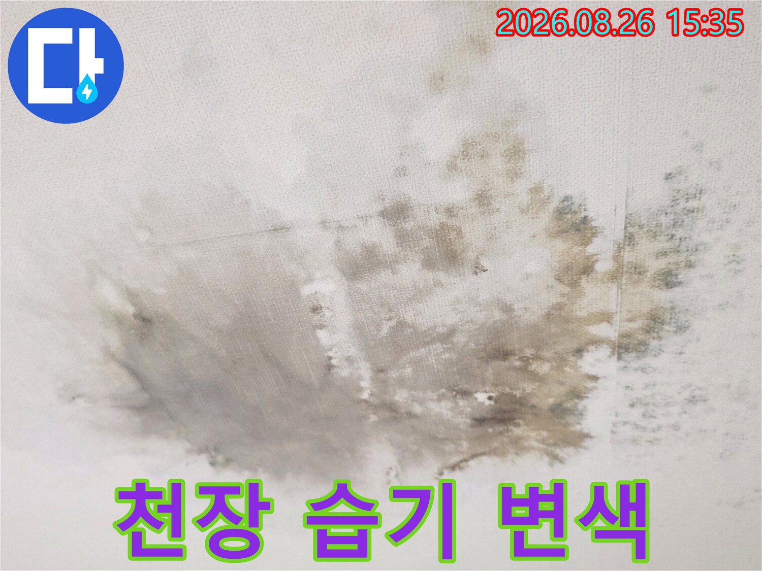 넓은 면적으로 번져있는 천장 누수 얼룩과 곰팡이 부위