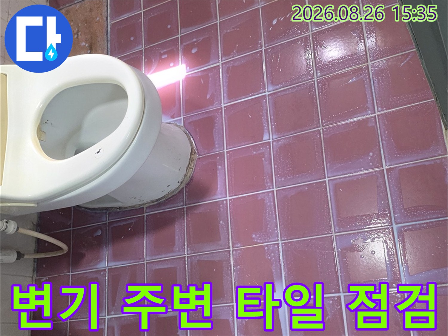 변기 뒤쪽과 바닥 타일 사이의 누수 징후 확인