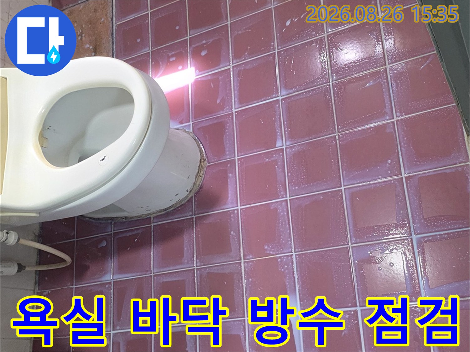 분홍색 욕실 타일 바닥면의 누수 흔적을 확인하는 작업 장면입니다.