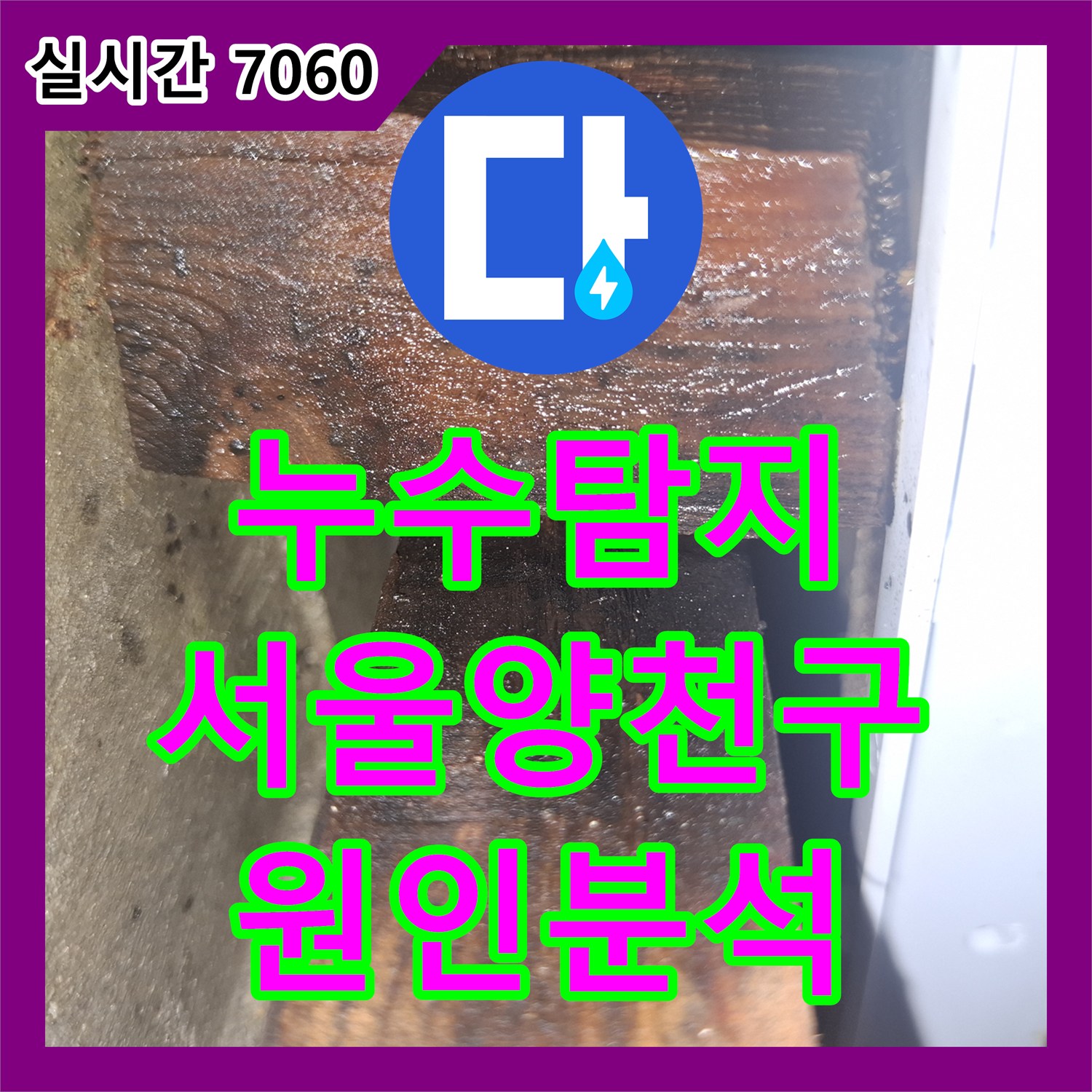 누수탐지 노후 빌라 아래층 누수 원인을 내시경 카메라로 정밀 분석한 서울 양천구 목동 사례