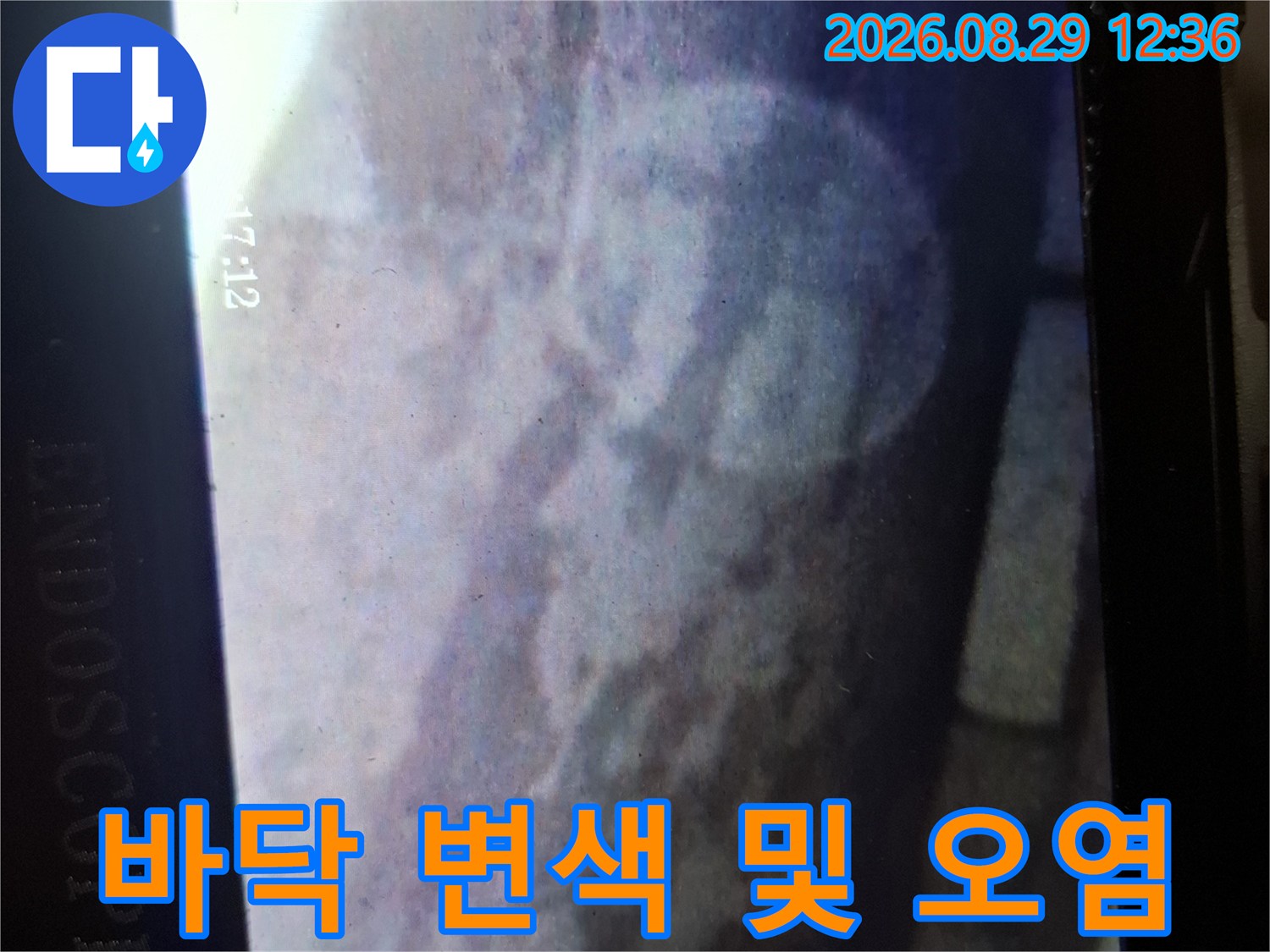 싱크대 하부 바닥면-습기로 인해 변색된 바닥 상태를 보여주는 내시경 영상