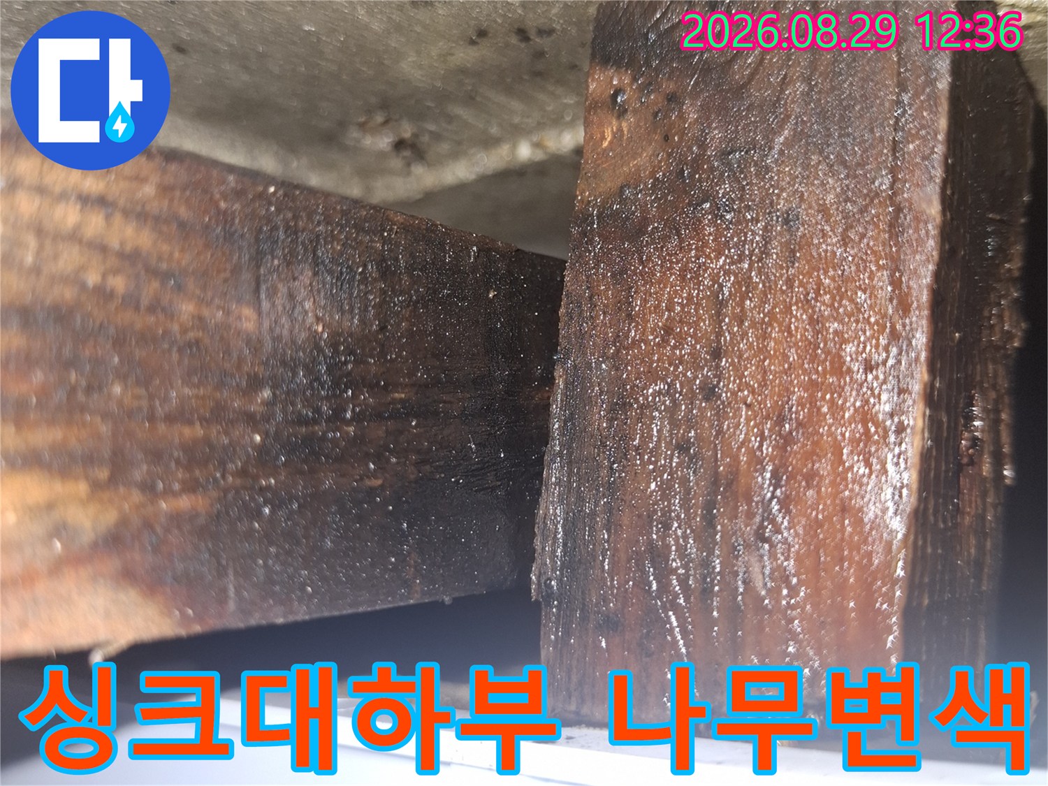 양천구 목동 현장의 싱크대 하부장 내부 나무 부재가 습기로 인해 검게 변색된 모습입니다.