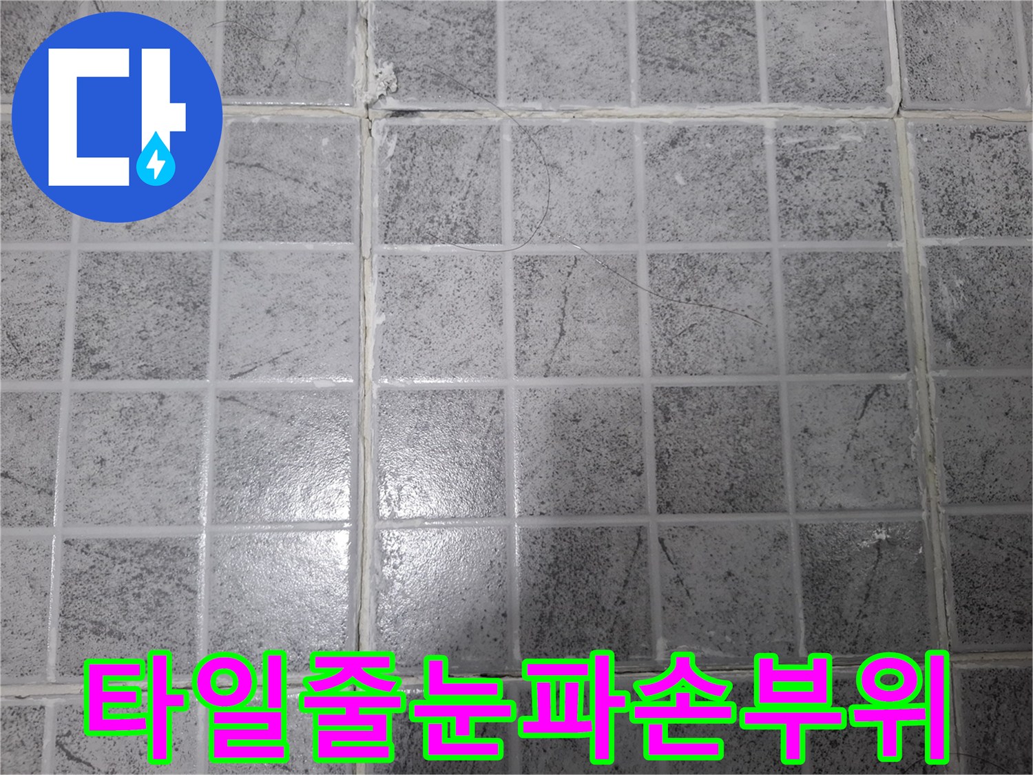 화장실 바닥 타일-메지 사이의 파손된 틈새를 근접 촬영하였습니다.