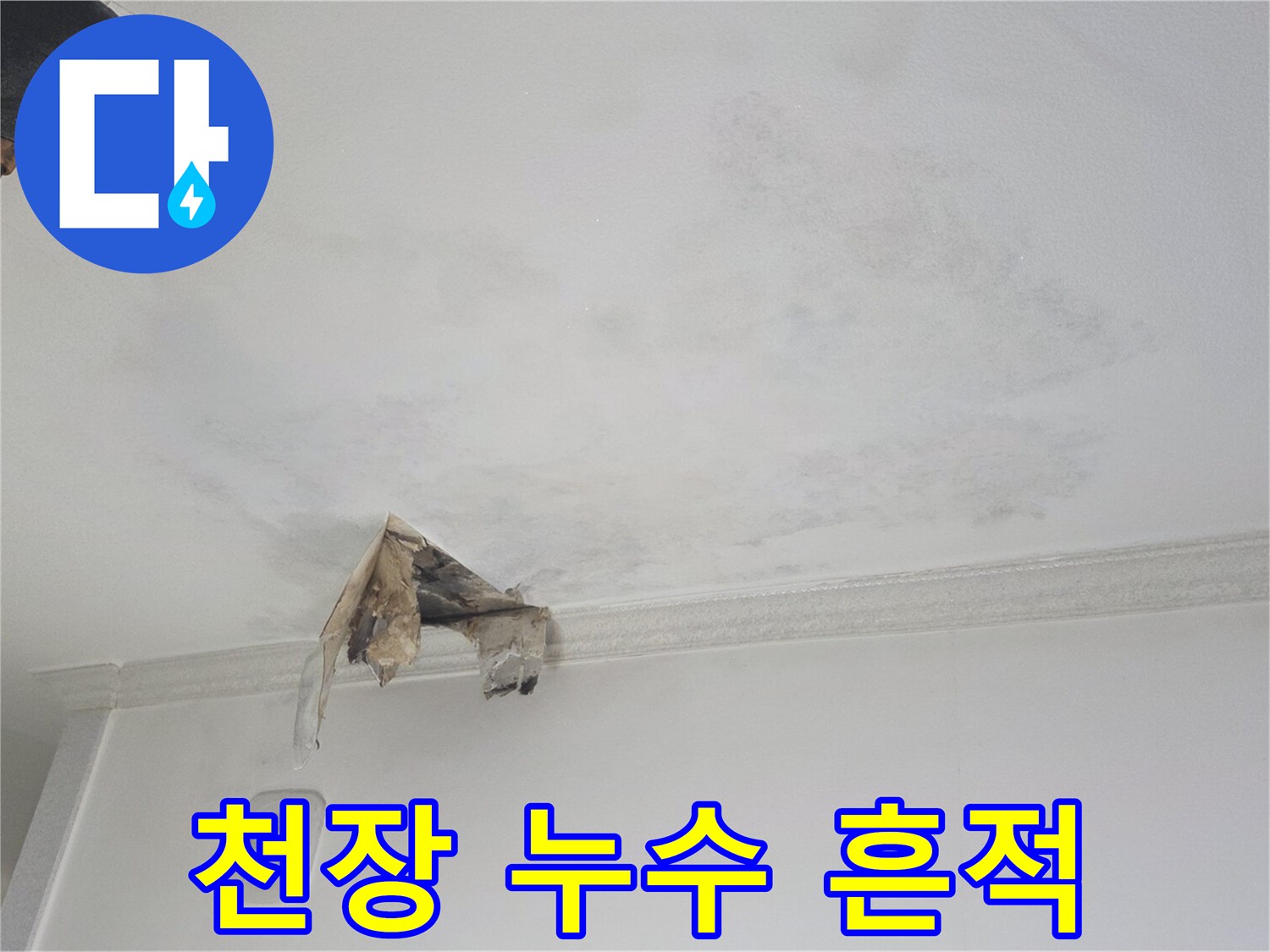 광명 하안동 아파트 천장 부위의 젖은 얼룩과 곰팡이 흔적