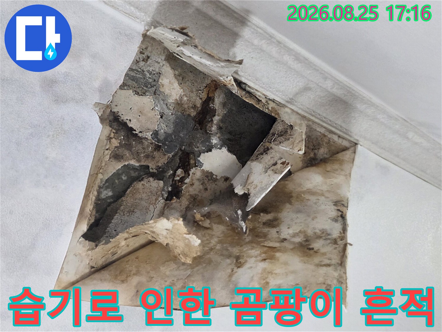 천장 내부의-심한 습기와 곰팡이 오염 상태