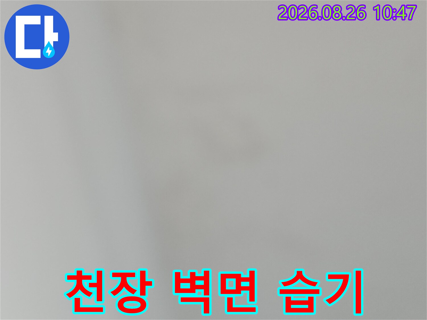 지하 천장 벽면에 보이는 습한 기운과 흔적