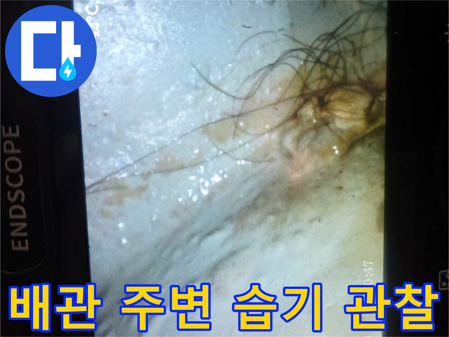 내시경으로 본 천장 내부의 젖어 있는 배관 부위