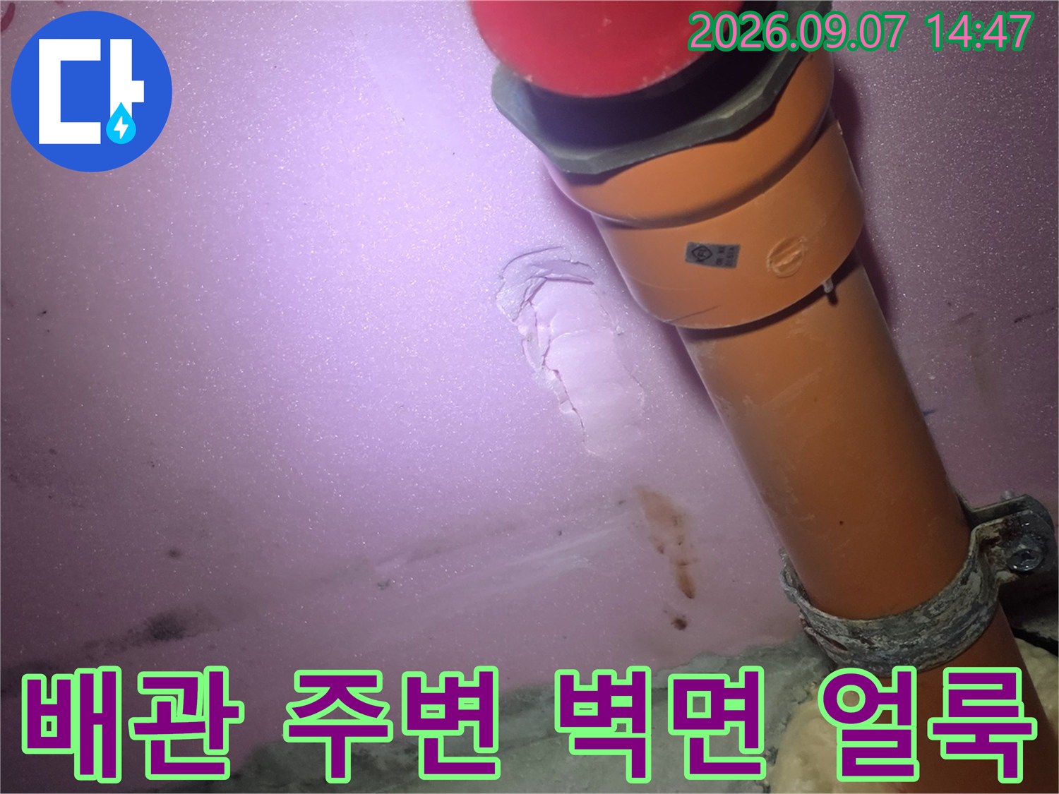 분홍색 천장재에 나타난 누수 흔적-배관 근처의 젖은 부위를 상세히 보여줍니다.