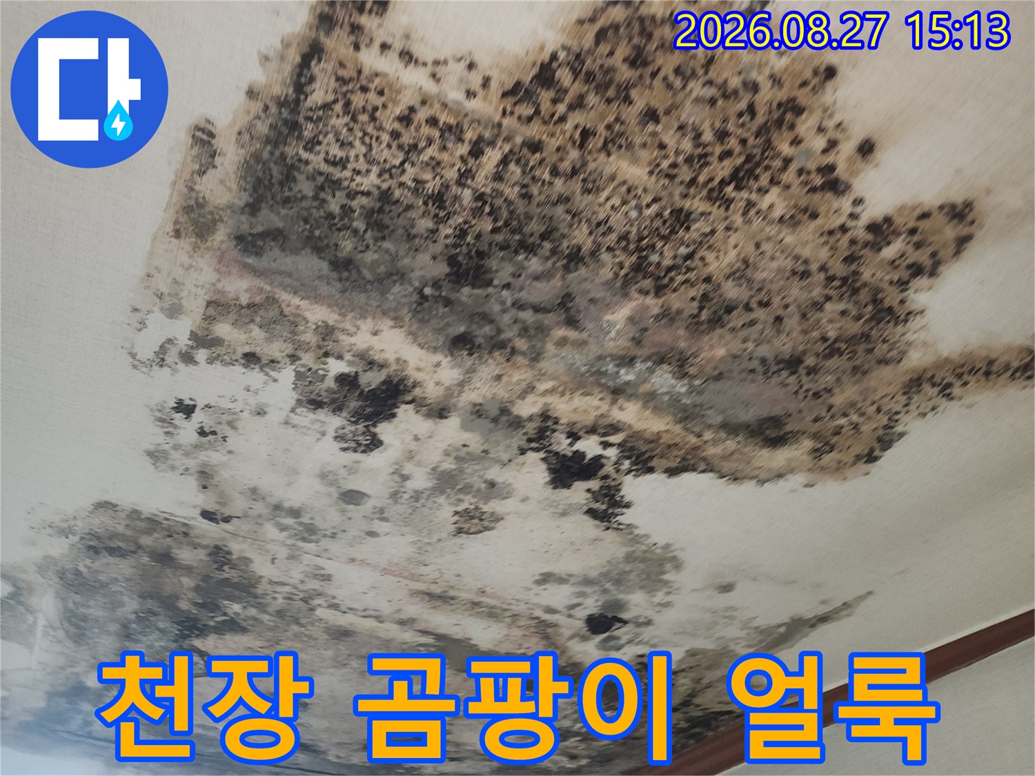 성북구 아파트 천장 벽지에 발생한 심각한 곰팡이와 누수 흔적