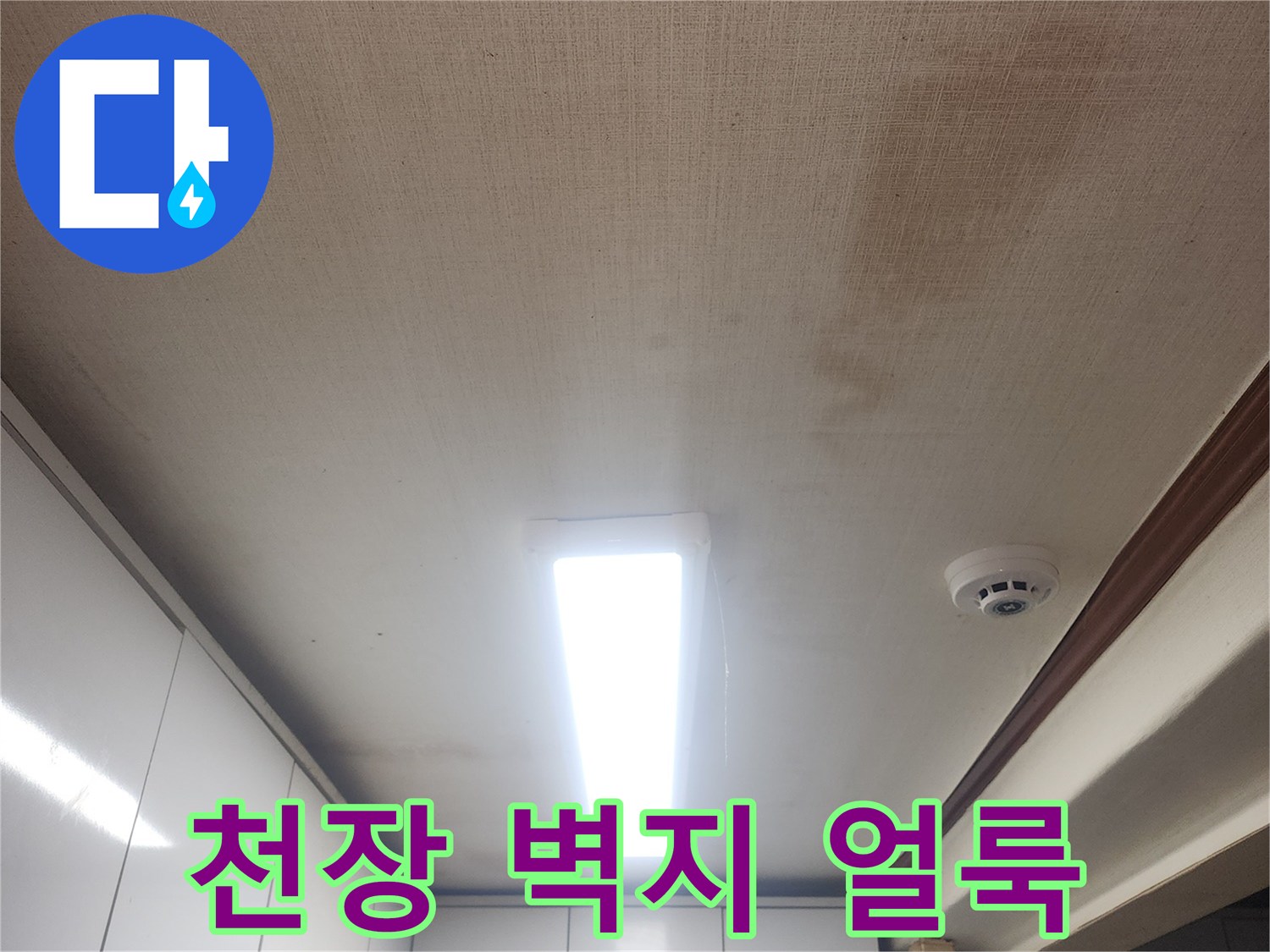 성북구 현장-천장 벽지에 발생한 젖은 흔적과 오염 상태