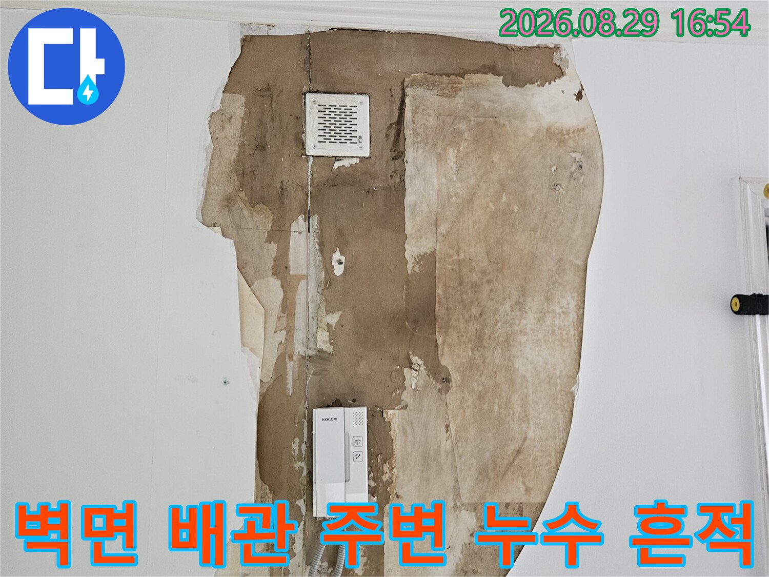 배관 연결부 인근-벽지 변색과 습기 침투가 확인되는 현장