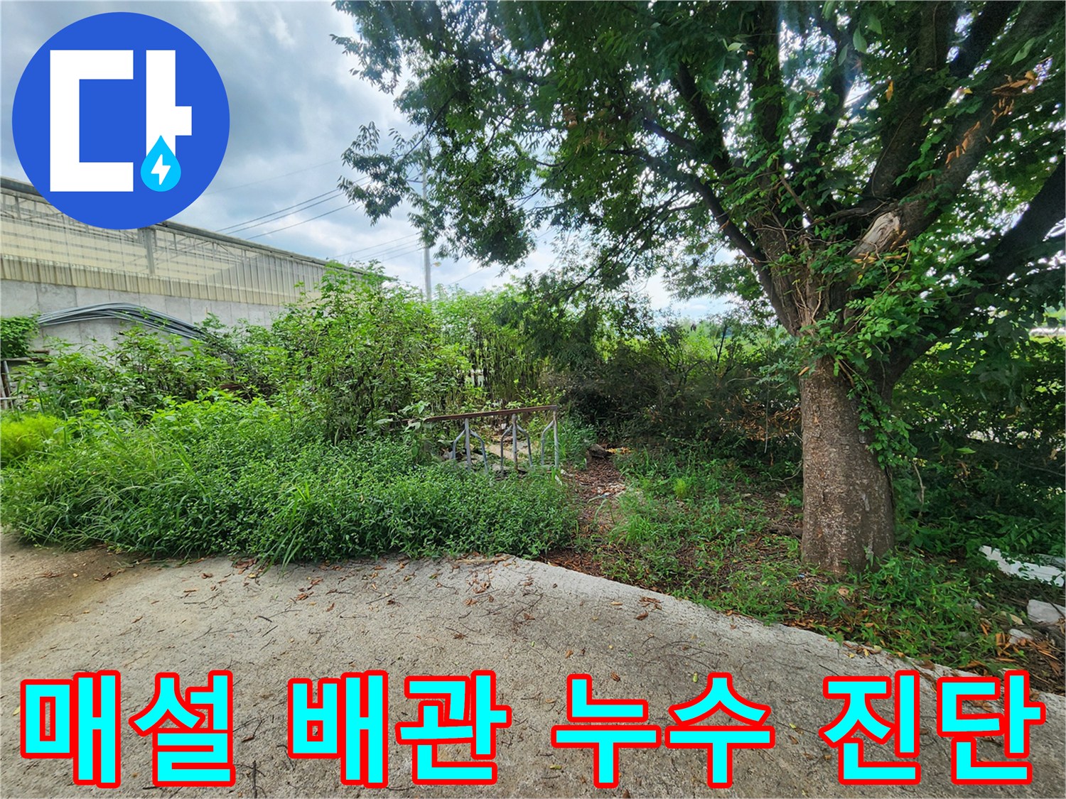 야외 수풀 사이 배관 지점 - 가스 탐지기로 물샘 위치를 정밀하게 찾는 중입니다.