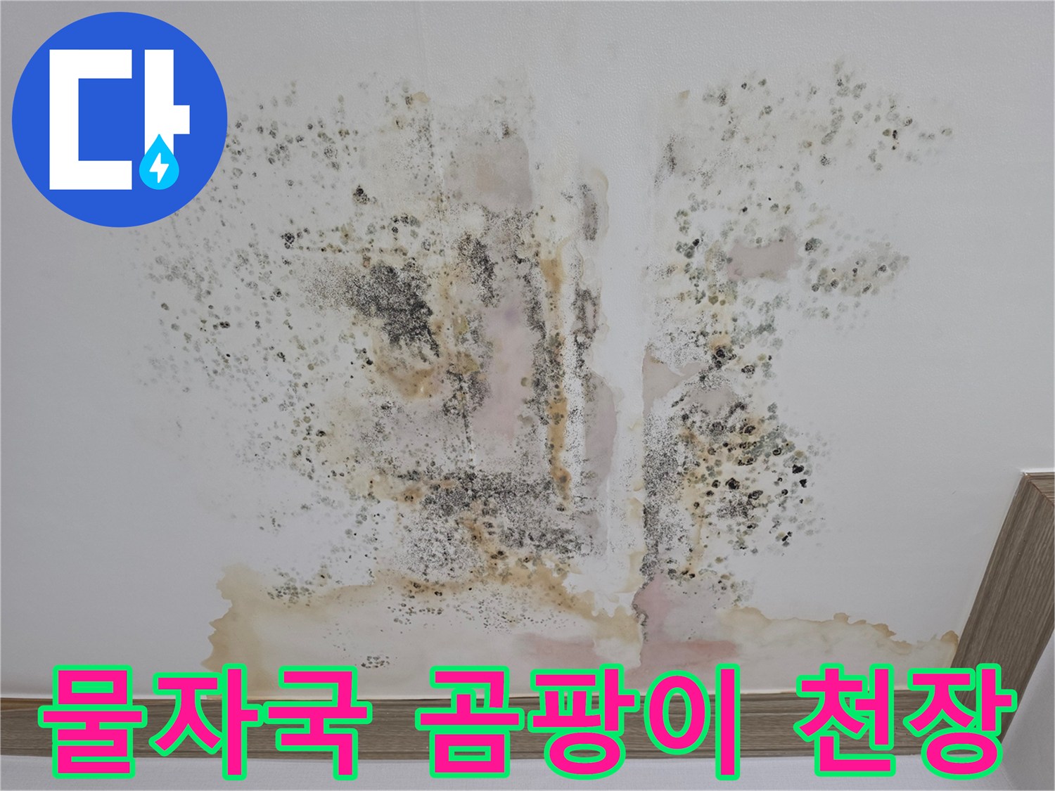 누수로-인해-노랗게-변한-천장-및-검은-곰팡이