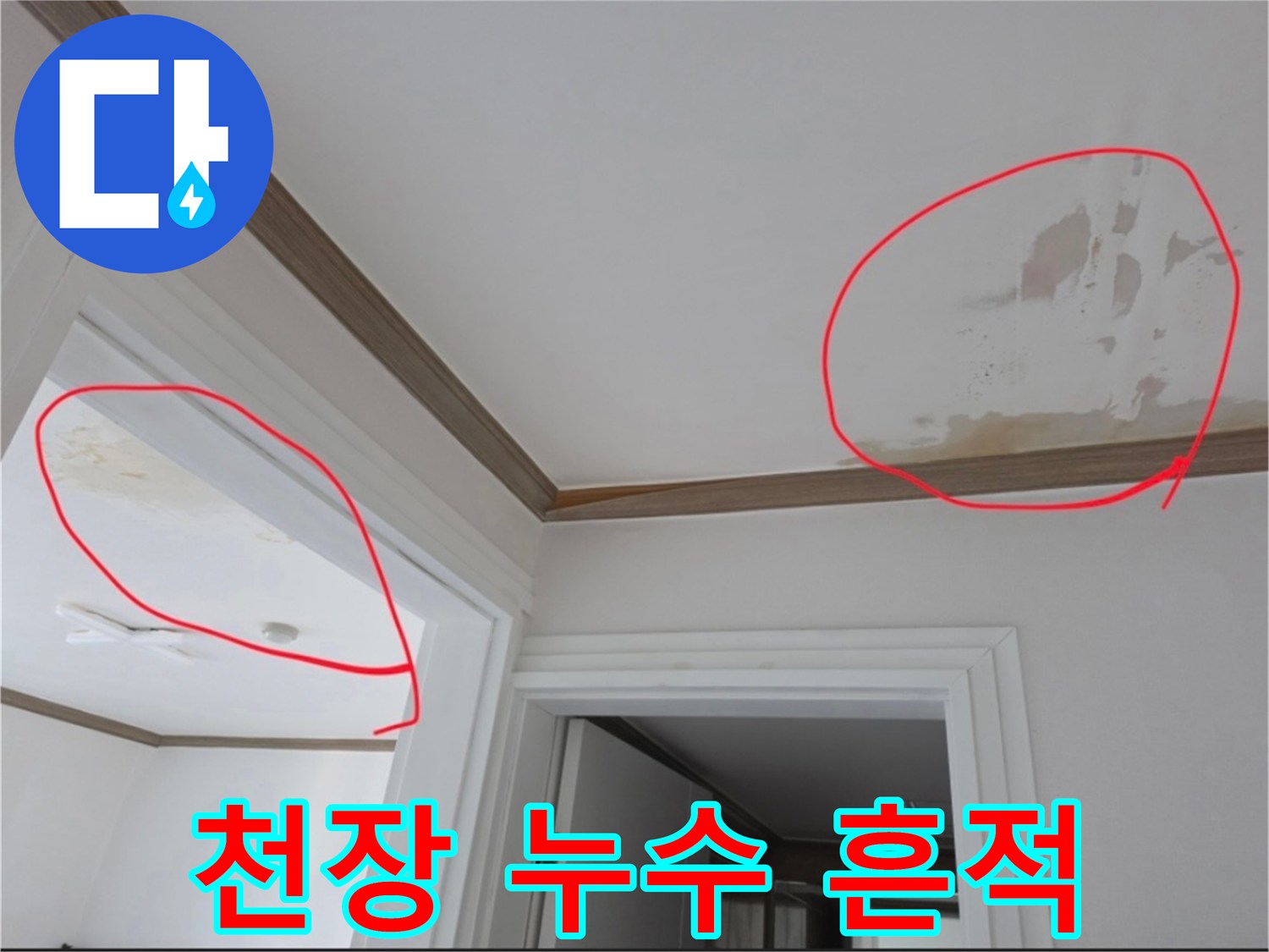 천장 몰딩 주변의 젖은 자국과 얼룩진 마감재 사진