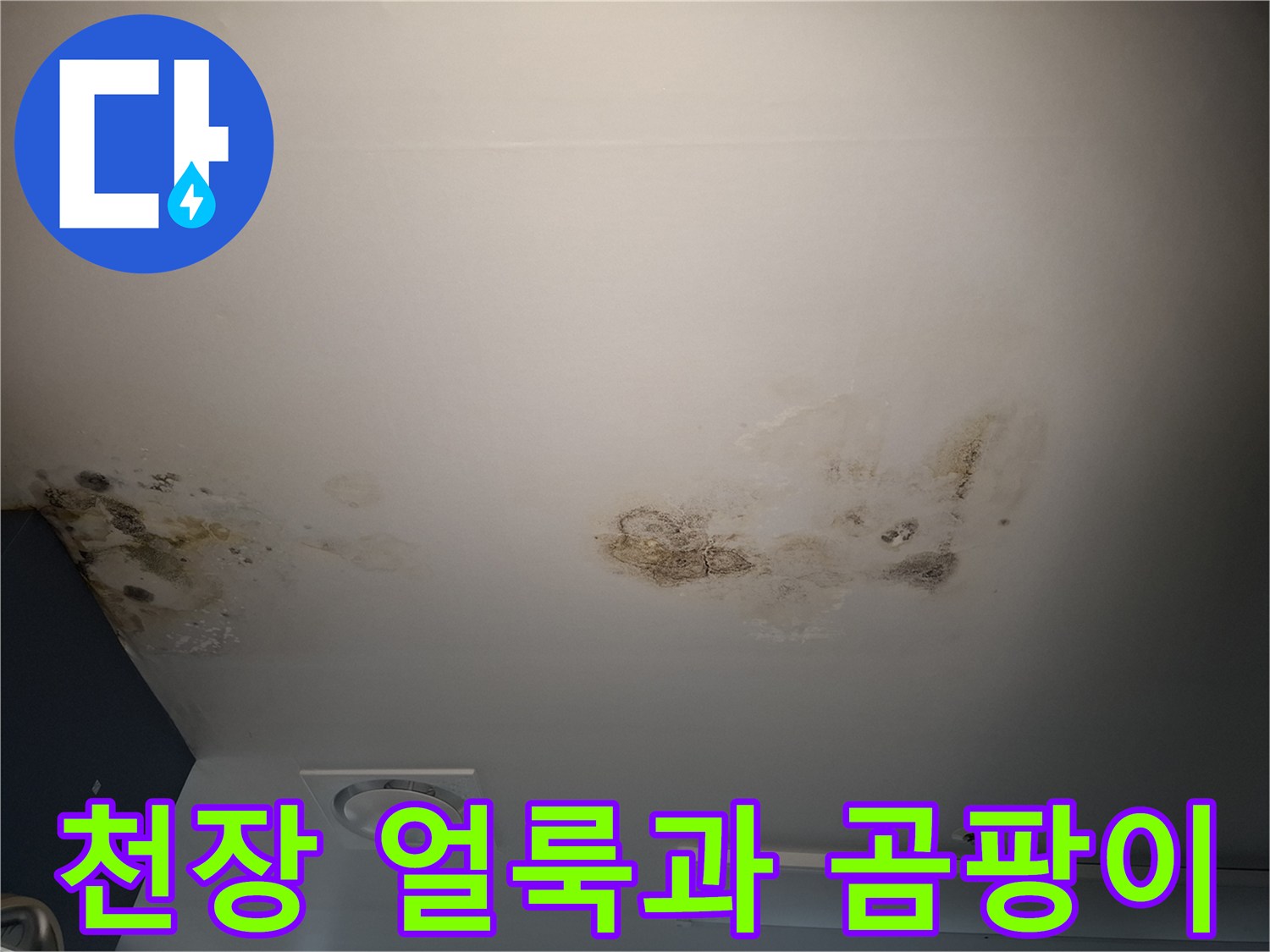 병실 천장 텍스 부위에 발생한 물자국 및 곰팡이 흔적