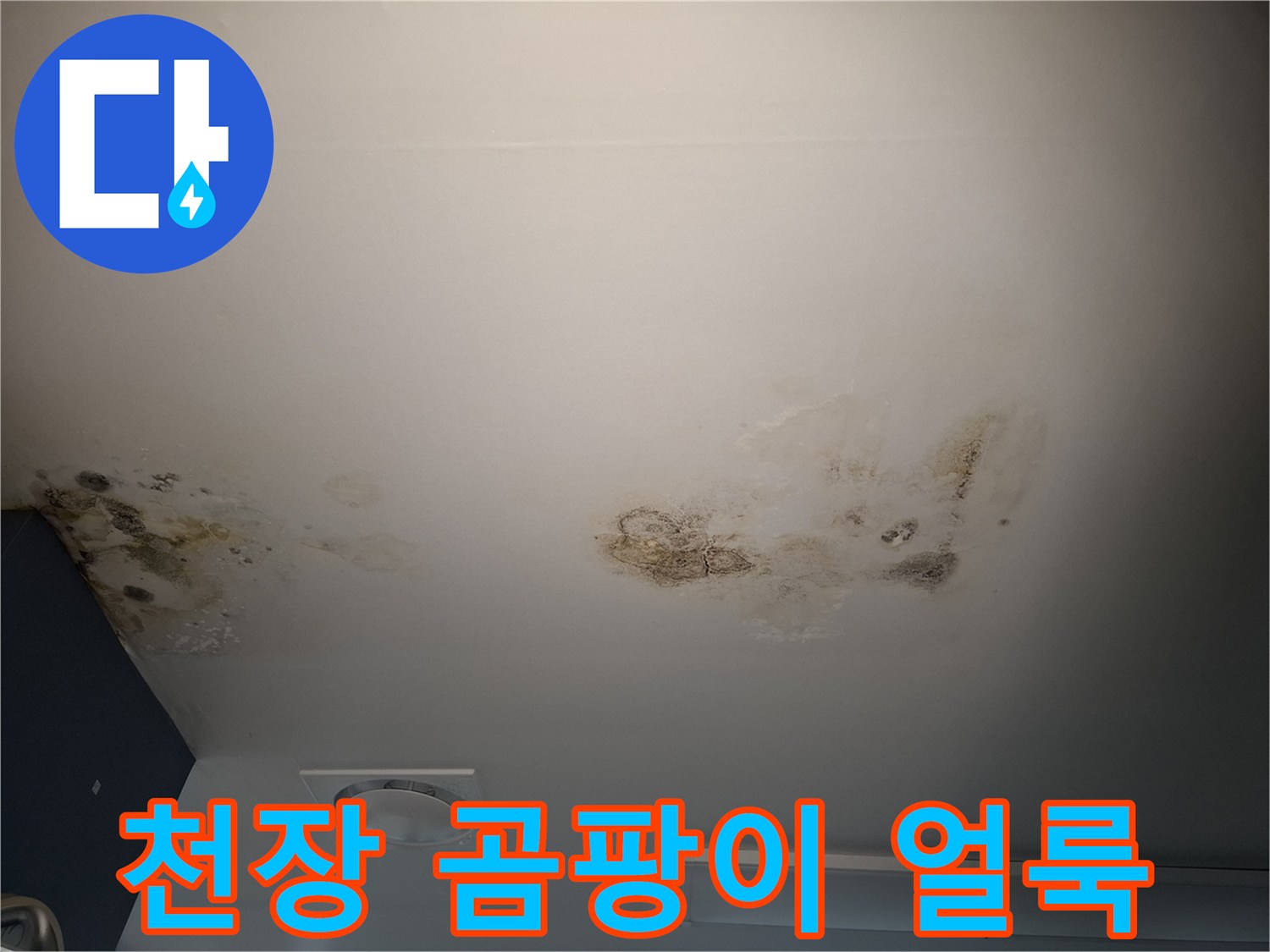 병원 병실 천장 텍스 부근에 발생한 검은색 곰팡이와 습기 흔적