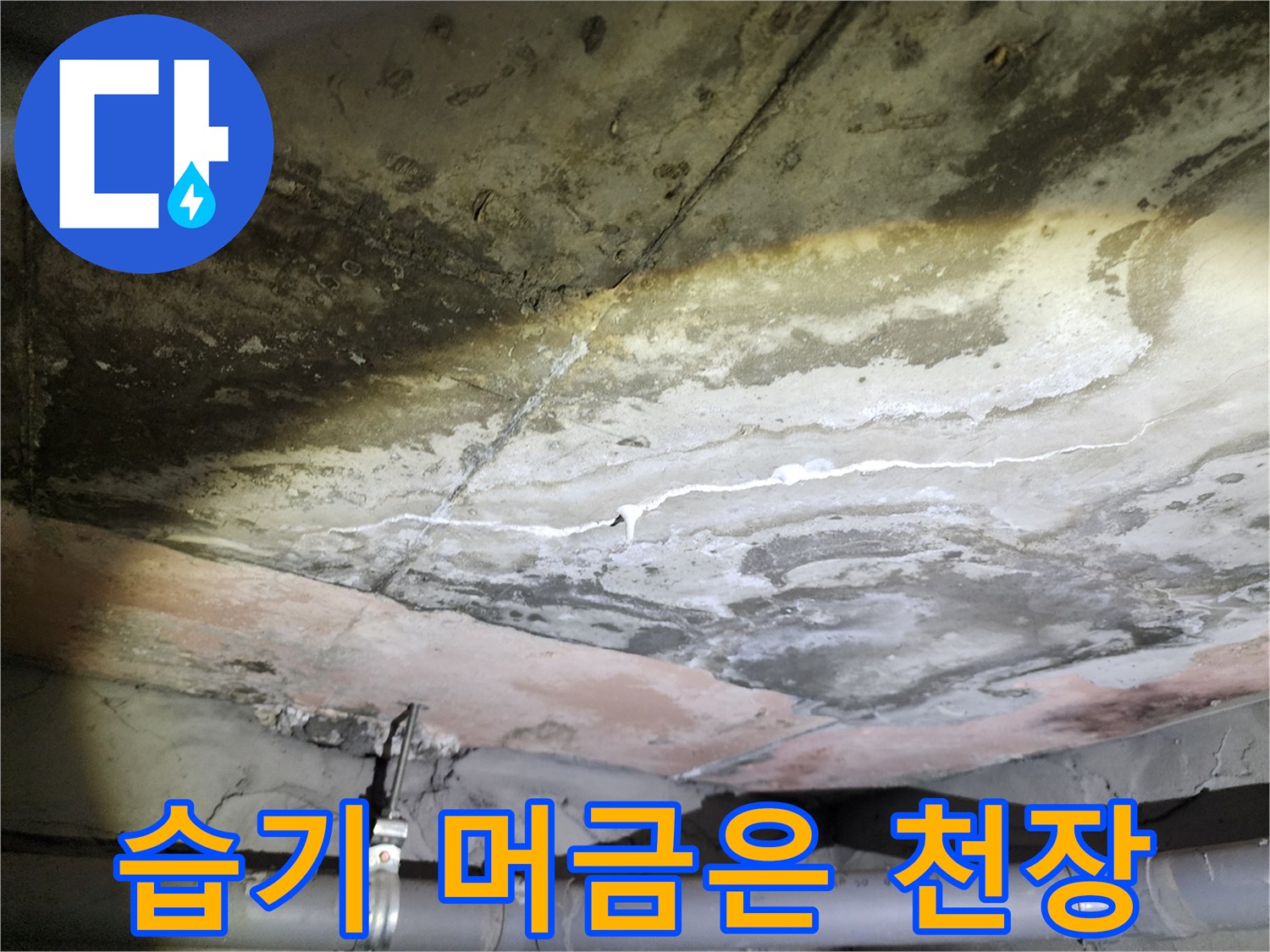 용인 수지구 현장-배관 주변 콘크리트 슬래브에 나타난 젖은 흔적과 백화