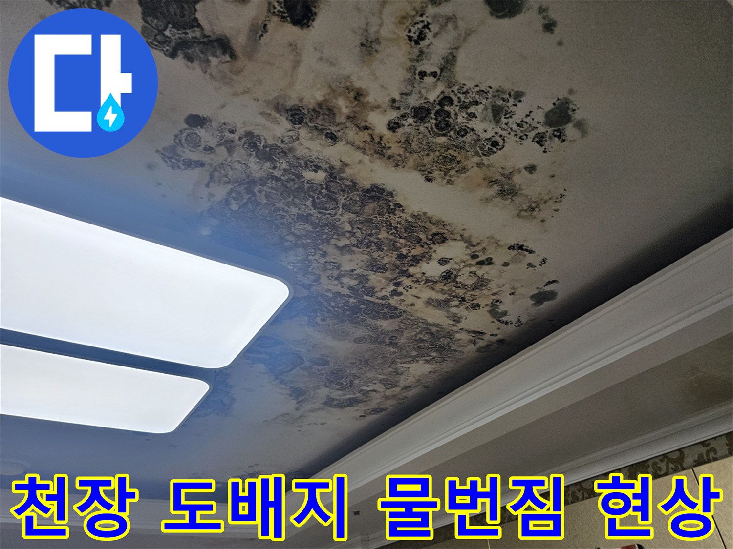 누수로 인해 변색된 천장 도배지와 곰팡이가 발생한 거실 내부 모습