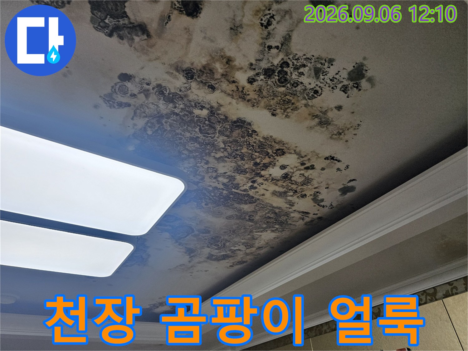 은평구 대조동 아파트 거실 천장의 심한 곰팡이와 누수 흔적