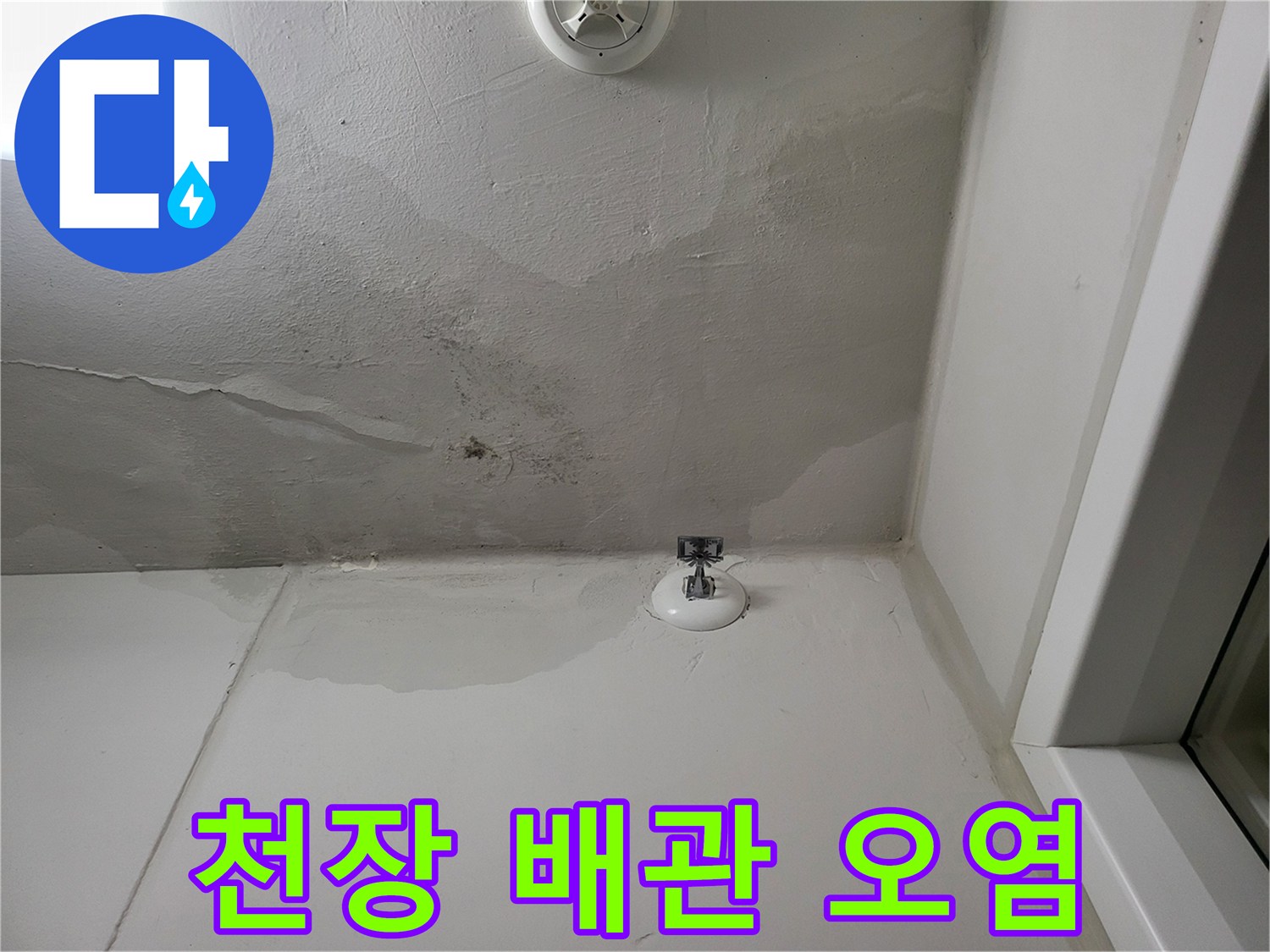 세탁실 천장 배관 주변의 짙은 물자국과 습기 흔적