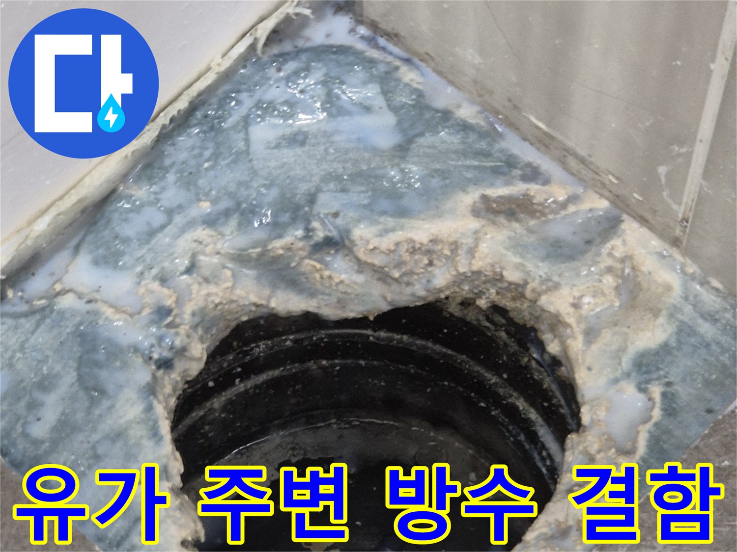 배수구-주변-방수층-파손-및-이물질-고임