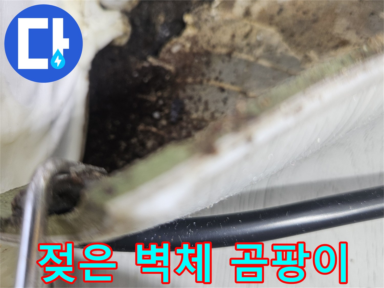 내시경 검사 중 발견된 벽면-곰팡이와 습기 분포