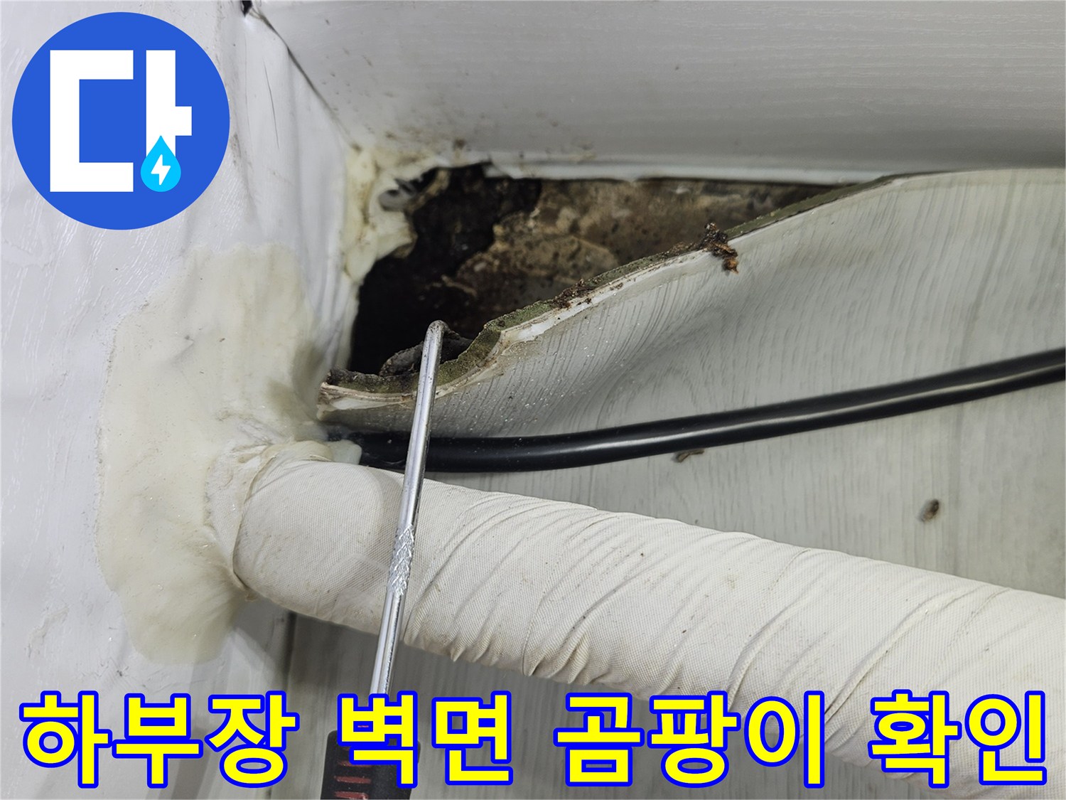 싱크대-하단-절개-부위의-심한-습기와-오염