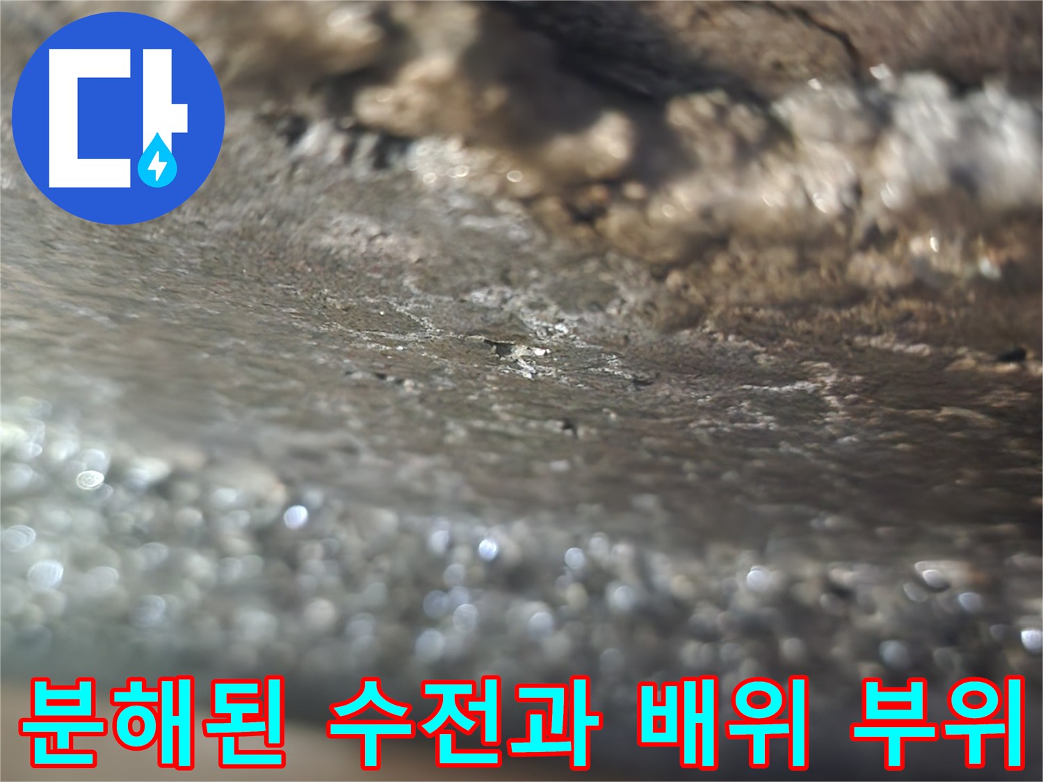 일산서구 탄현동-누수 지점 확인을 위한 배관 노출