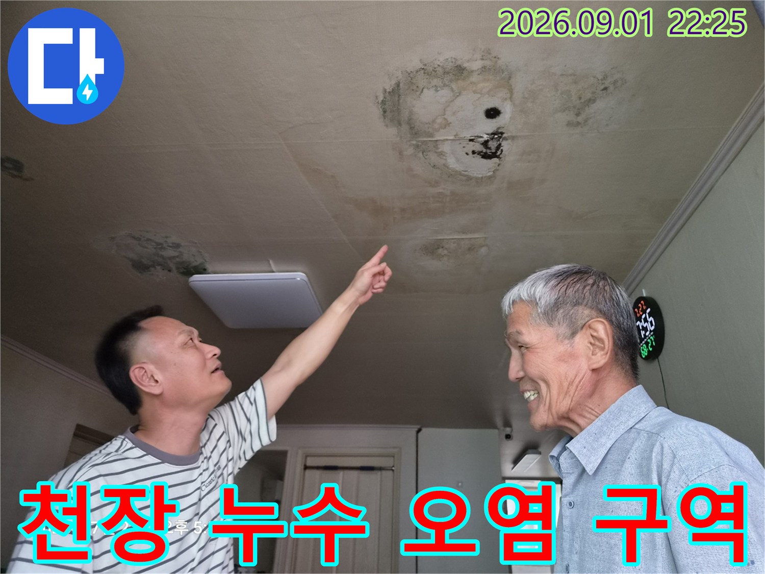 거실 천장의 넓은 범위에 걸친 곰팡이 및 누수 얼룩