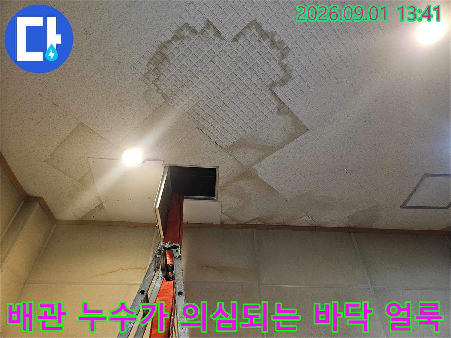 화장실 타일 사이로 번져 있는 습기 및 물자국 현장