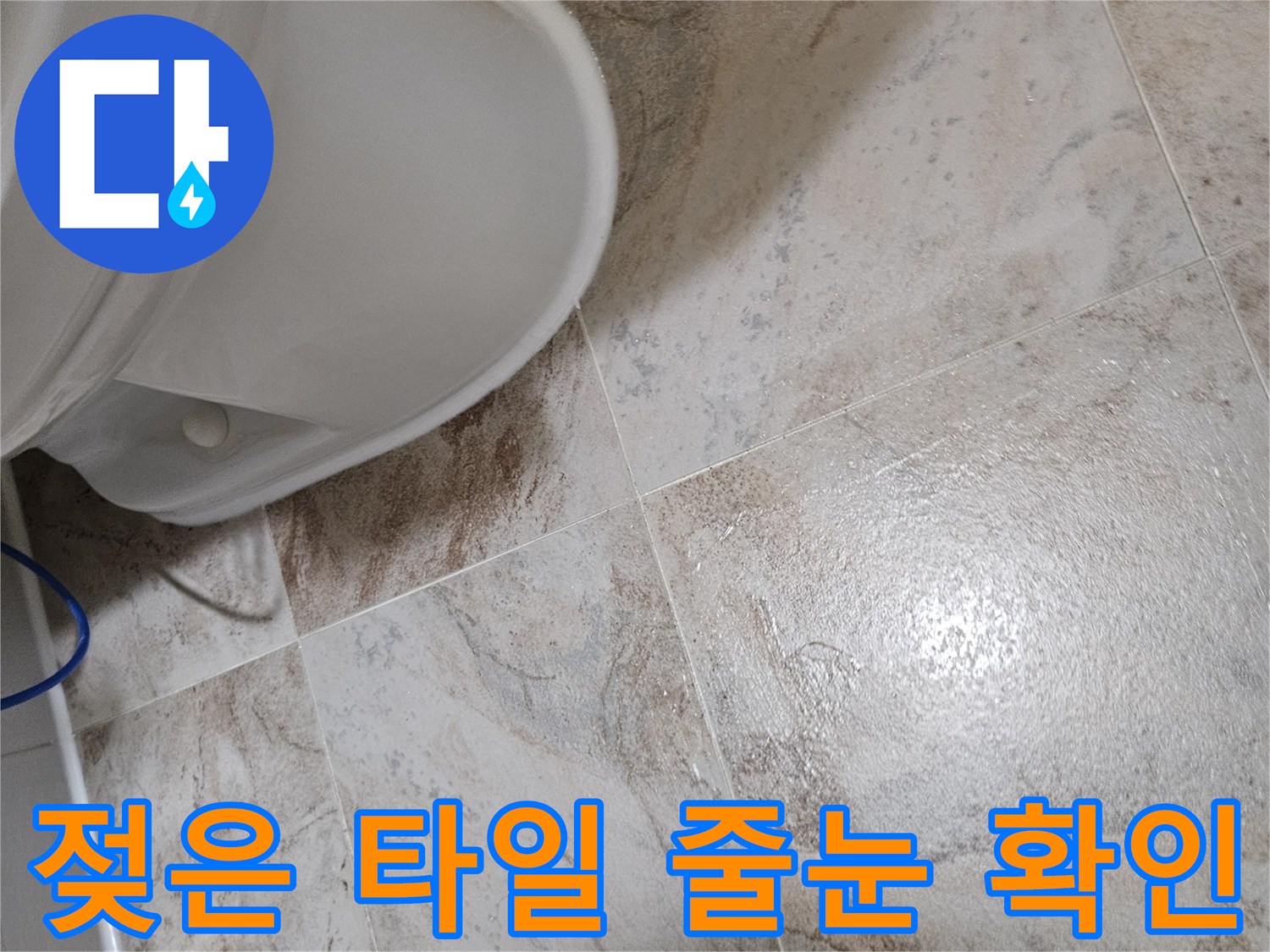 변기 하단부-물기가 스며든 타일 틈새 근접 촬영
