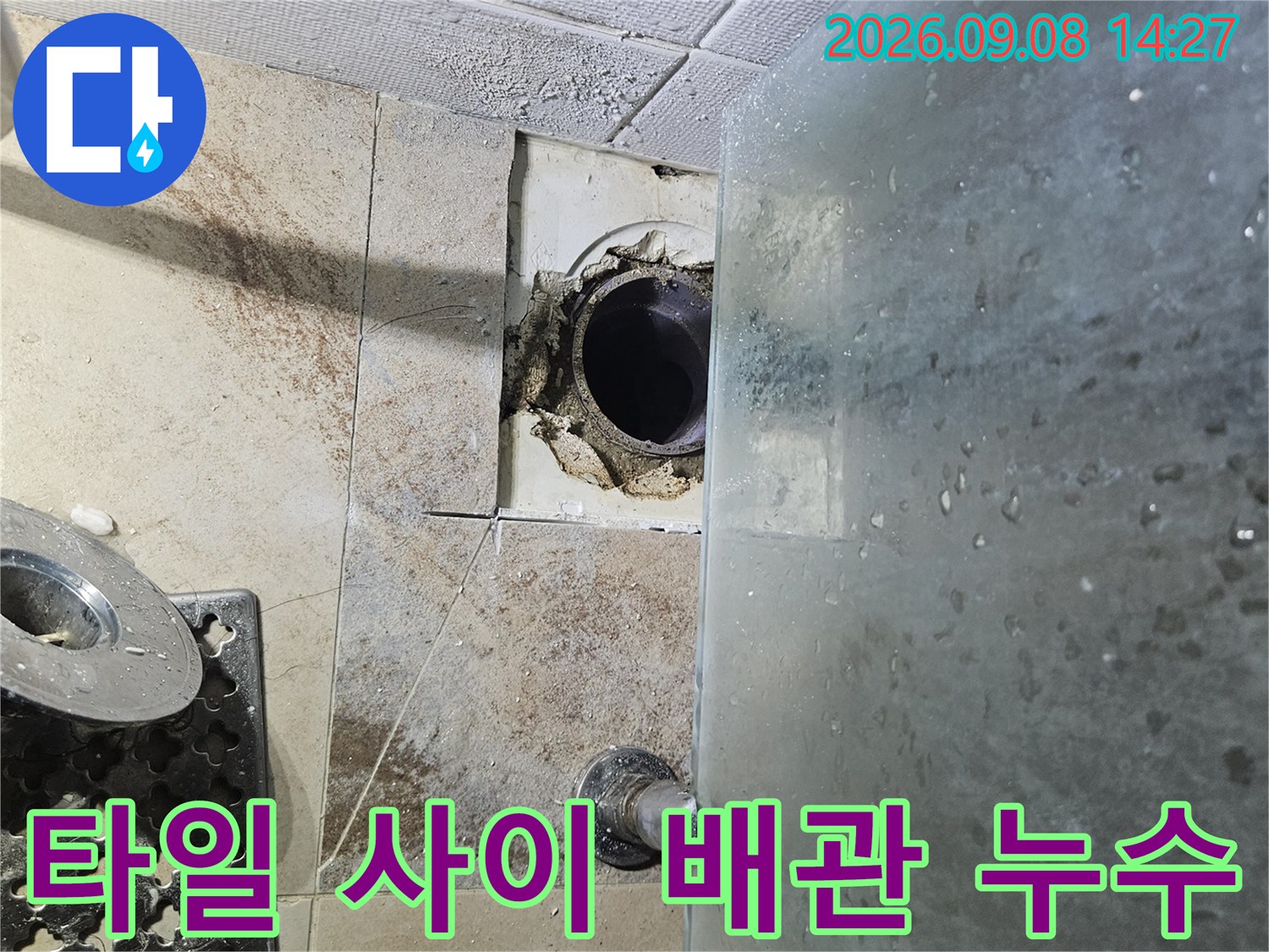 타일 틈새와 배수관 연결 부위의 오염된 상태를 근로자가 점검 중입니다.